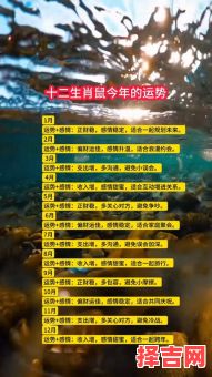 1972已婚鼠女桃花运势,1972年属鼠人一生婚姻次数-第1张图片 1972已婚鼠女桃花运势,1972年属鼠人一生婚姻次数-第1张图片