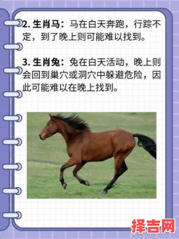 孙庞斗智指什么生肖-第1张图片