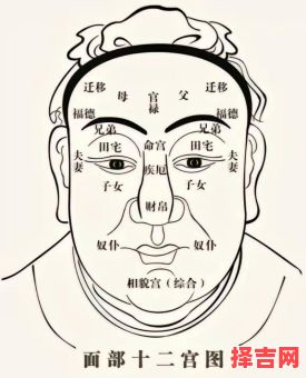 男性右腮长痣与女性左腮长痣的面相图解-第1张图片 男性右腮长痣与女性左腮长痣的面相图解-第1张图片
