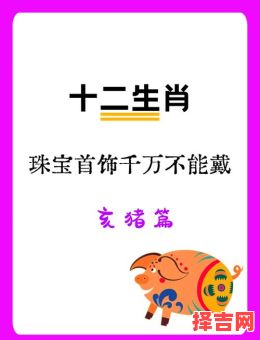 1971年猪年为何属土命1959年猪年属何种命-第1张图片 1971年猪年为何属土命1959年猪年属何种命-第1张图片