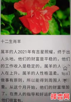 登峰造极对一生肖-第1张图片