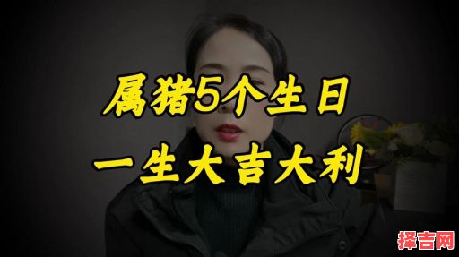 属猪人哪年过本命年多少周岁-第1张图片