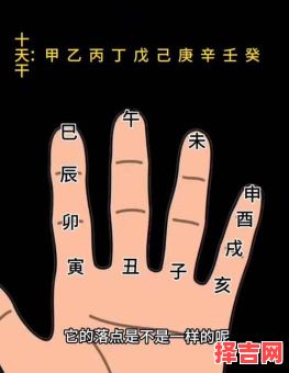 甲木生于酉月八字怎样手相最佳-第1张图片