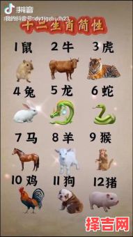 七上八下是什么生肖-第1张图片