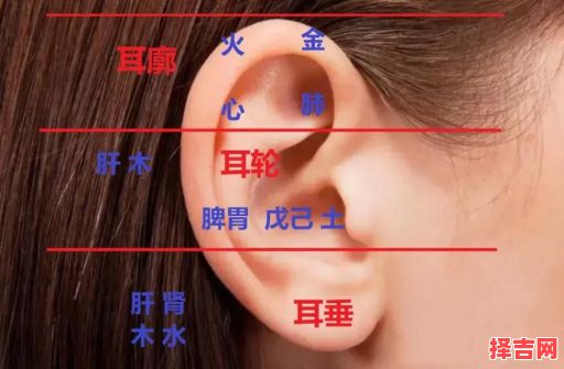 女人耳朵长痣面相图解 女人耳朵十大富贵痣-第1张图片