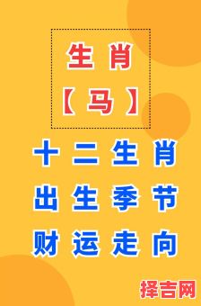 属马的人是哪年出生属马是八鸡年出生的-第1张图片