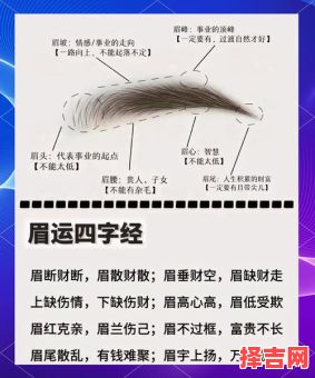 眉毛看相图解解析 眉毛看相图解全集-第1张图片
