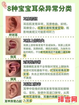 耳轮缺损面相，耳廓不全面相-第1张图片