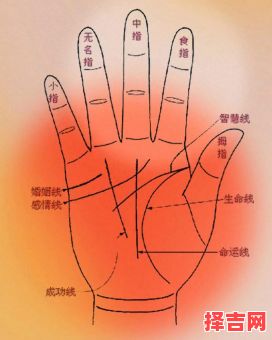 看手相可靠吗网上别找人看手相-第1张图片