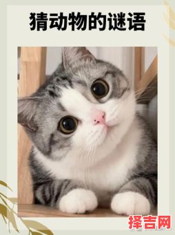 字下留爱猜一动物-第1张图片