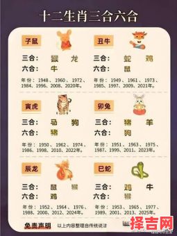 一衣带水猜一个生肖-第1张图片