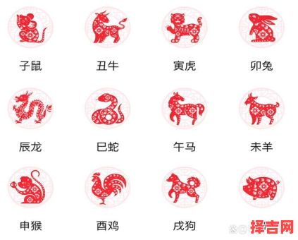 蛇年生人今年多少岁-第1张图片