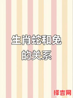 属兔男与哪些属相子女相合 属蛇和属兔是否相配-第1张图片