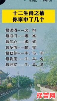 美好未来指代哪个生肖-第1张图片