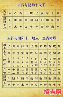 易经如何推算 易经算命生辰八字入门知识-第1张图片