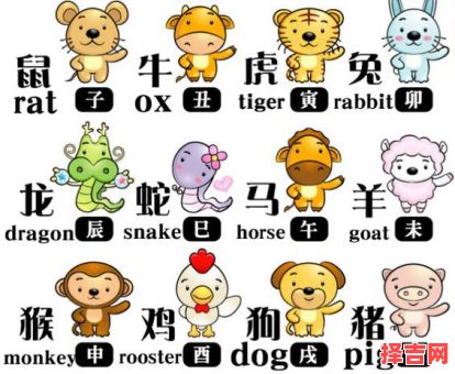 枪林弹雨指什么生肖-第1张图片