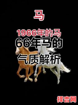 1966年属马人2022年运势与运程-第1张图片