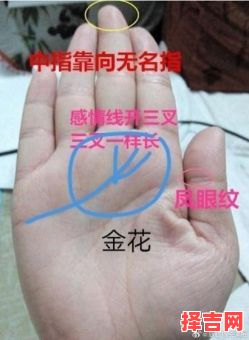 梦见看手相预言富贵，女人梦见被看手相-第1张图片