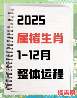 1971年生肖猪2025年运势详解 54岁属猪者蛇年每月运程-第1张图片
