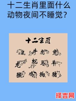 夜夜不眠为哪般生肖 夜夜不眠为哪般生肖动物-第1张图片