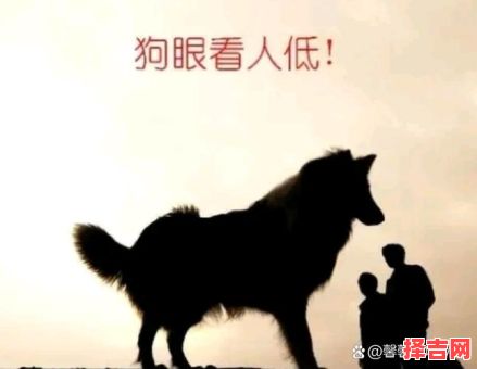 出头露面猜一动物 抛头露面指一生肖-第1张图片