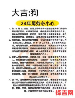 属猪全年运势属狗运程详解-第1张图片