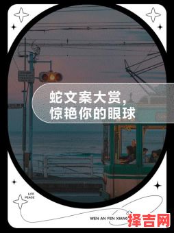 与蛇共度整晚-第1张图片