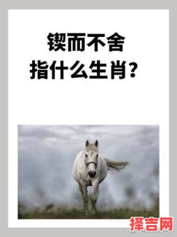 幕后听政是什么生肖-第1张图片