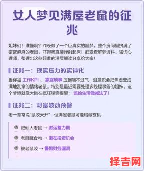 女人梦见许多老鼠什么预兆，女人梦见一只大老鼠什么预兆-第1张图片