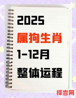 2006年出生属狗人2025年运势详解 06年19岁生肖狗蛇年每月运程-第1张图片