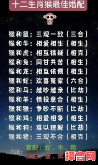 十二生肖配对查询十二月七号星座匹配解析-第1张图片