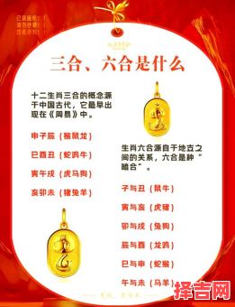 属蛇和什么属相最佳配对 属蛇和什么属相最佳婚配-第1张图片