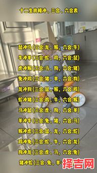 属鼠的和哪些属相最配与相克-第1张图片