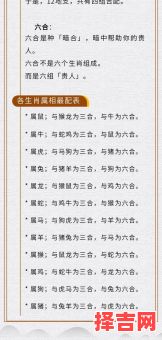 属马2025年运势解析 属马2025年运势详解-第1张图片