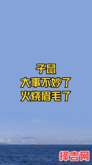 火烧眉毛意味哪个生肖 火烧眉毛属于十二生肖中何者-第1张图片