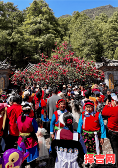 纳西族的主要节日有哪些-第1张图片