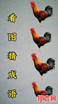 南北通商指哪个动物 南北通商精准猜一生肖-第1张图片