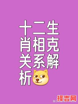 独一无二形容那个生肖-第1张图片