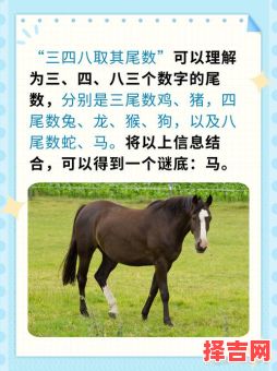 实实在在是指什么生肖 实实在在猜一动物猜一生肖-第1张图片