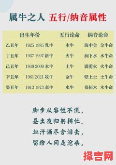 1973年属牛男性性格优缺点解析及其感情专一度探讨-第1张图片