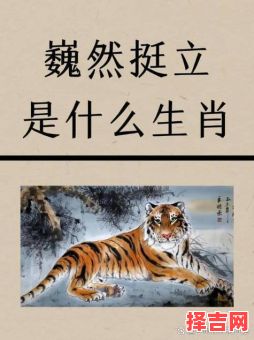 坚强不屈猜一生肖-第1张图片