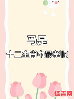 驽马十驾代表什么生肖-第1张图片