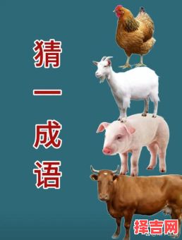 天罗地网猜一生肖 天罗地网猜一正确动物-第1张图片