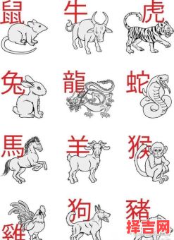南方生肖包括哪些 南方生肖有哪些动物-第1张图片