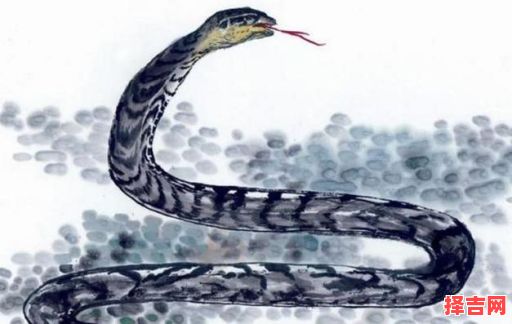 云霄外猜一生肖-第1张图片