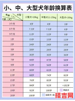 属狗年龄查询表 属狗今年多少岁-第1张图片