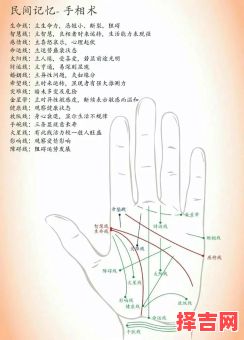 女性的面相与手相-第1张图片