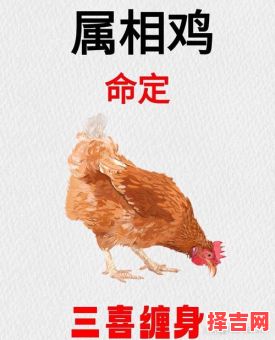 属鸡2025年动土最佳吉日查询 属鸡人2025年动土黄道吉日-第1张图片