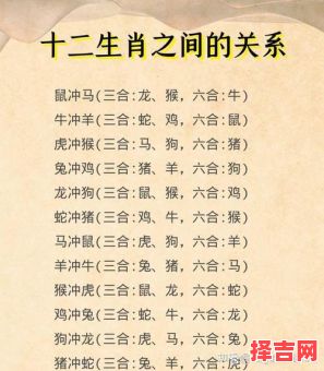 老八辈子答一最佳生肖 老八辈子答一准确生肖动物-第1张图片