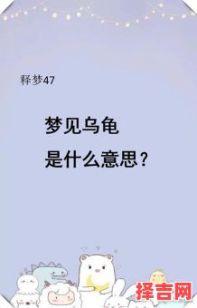 梦到乌龟代表什么-第1张图片 梦到乌龟代表什么-第1张图片
